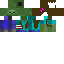 Texture for zomba