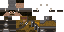 Texture for HoneyDude