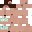 Texture for CrafterFru