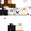Texture for steve 3
