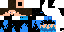 Texture for Enderbrine