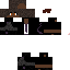 Texture for Phoenix