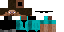 Texture for spy steve