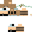 Texture for Didi