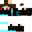 Texture for                                                              