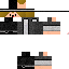 Texture for IguinBr_33