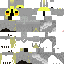 Texture for Grey Parrot