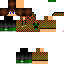 Texture for Chrismas Turtle