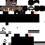 Texture for wtfcriss300