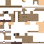 Texture for detetive sapato