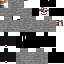 Texture for DrFoxBR