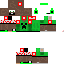 Texture for ds