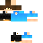 Texture for Guepardy_Br
