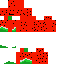 Texture for updated watermelon 2023