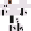 Texture for SnowyCookie
