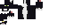 Texture for Tuxedo Cat