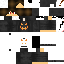 Texture for ASOMTER