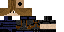 Texture for Lion