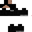 Texture for leon