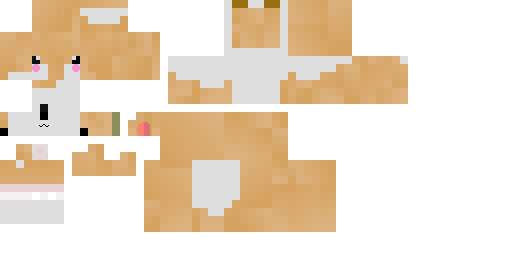 Texture for corgi edit