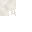 Texture for White Thing