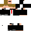 Texture for wii8506