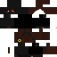 Texture for BhrayanProBR