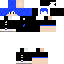 Texture for steve