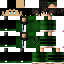 Texture for Steve