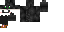 Texture for Kitty