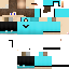 Texture for ds