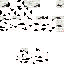 Texture for White Tree