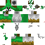 Texture for D.furry