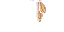 Texture for Moth Wings