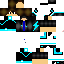 Texture for steve.pgn
