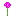 Texture for Allium