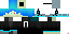 Texture for program