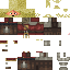 Texture for BorodArmNoC