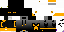 Texture for ENDERSWAG