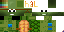 Texture for tiny turtle