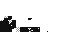 Texture for kittin pjs