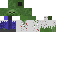 Texture for DAVE