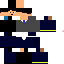 Texture for Skun