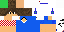 Texture for Blus