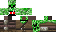 Texture for Tosaco