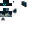 Texture for Sculk Bat