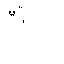 Texture for the ghost