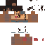Texture for ch