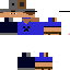 Texture for LuigiMF11