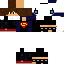 Texture for digas13